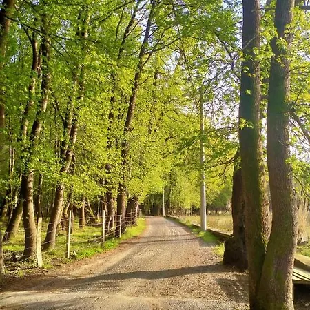 Adahan Family Gocek Göcek